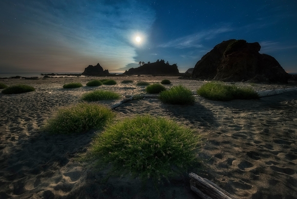 Full moon on a warm summer night at Olympic National Park along the Northwestern coast of Washington State OC 