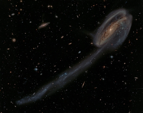 Galaxy Arp  and the Tadpoles Tail 