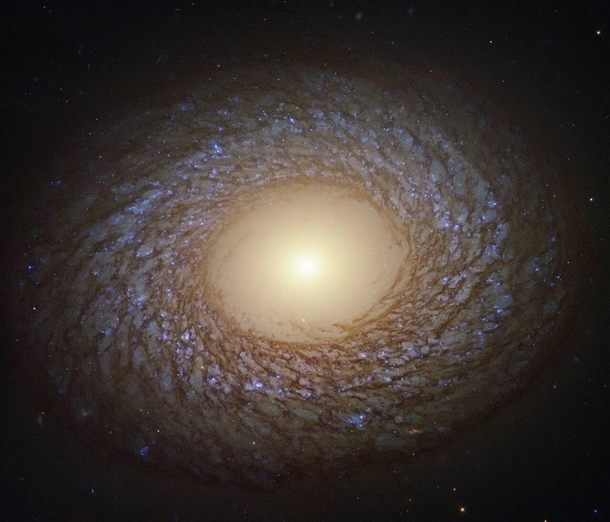 Galaxy NGC 