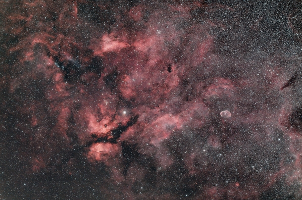 Gamma CygniCrescent Nebula
