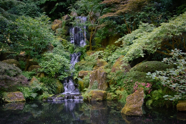 Garden in Portland Oregon 