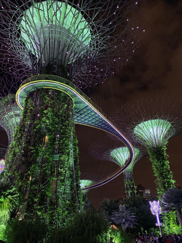Gardens By the Bay - Singapore
