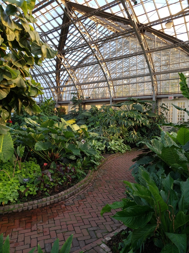 Garfield Park Conservatory at sunset Chicago