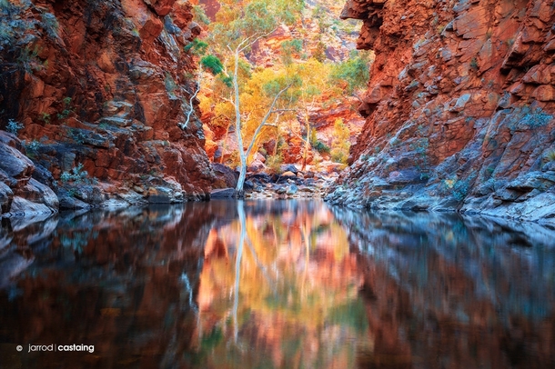 Gateway to Eden Serpentine Gorge in the West MacDonnell Ranges Northern Territory Australia 