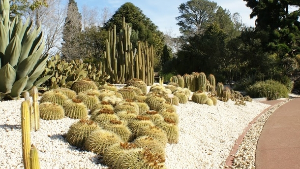 Geelong Botanical Garden
