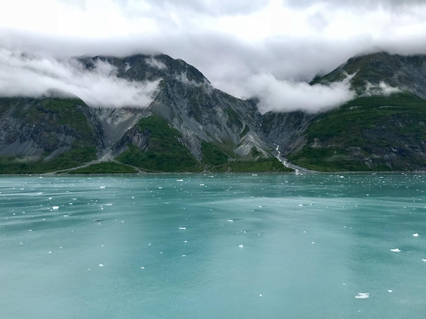 Glacier Bay Alaska 