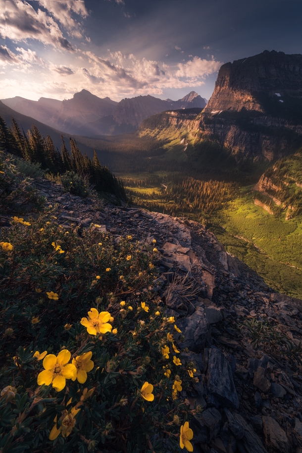 Glacier National Park is my favorite national park in the lower  always something amazing to photograph Glacier National Park MT  mattymeis