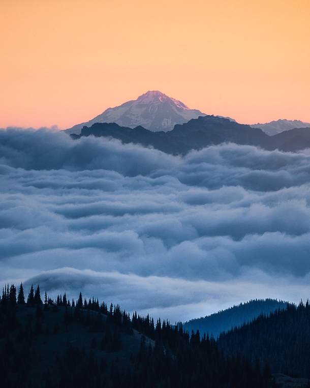 Glacier Peak rising above a sea of clouds during sunrise It is the most remote of the five active volcanoes in Washington State OC  ross_schram