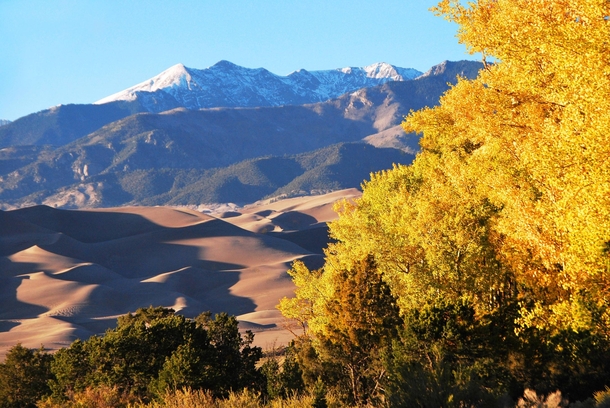 Gold Aspens Dunes and Cleveland Peak Colorado US  by National Park Service