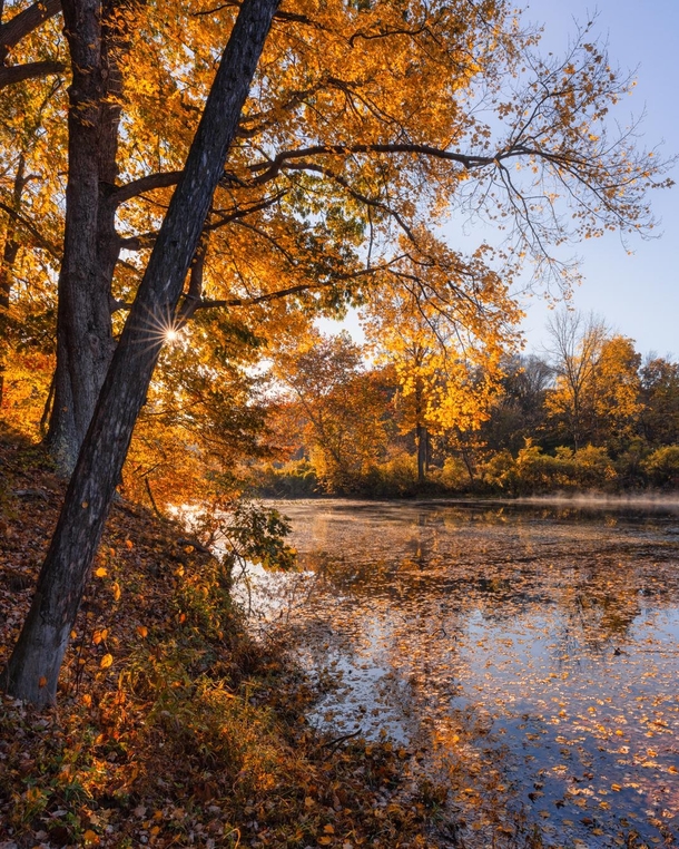 Golden Autumn at Cuyahoga Valley National Park Ohio 