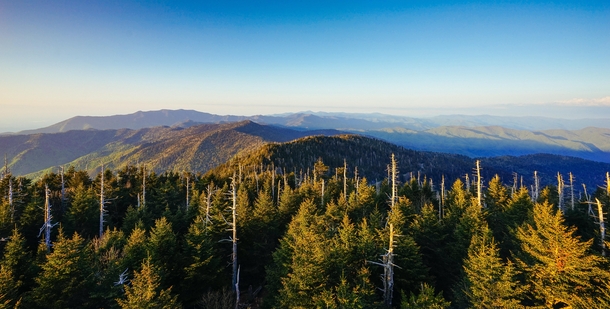 Golden hour from Clingmans Dome Great Smoky Mountains 