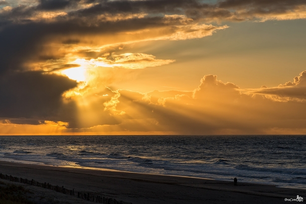 Golden Rays of the Setting Sun near Rotterdam the Netherlands 