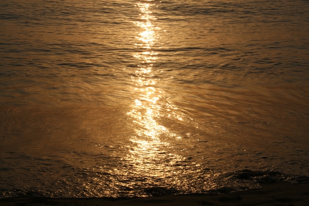 Golden Sea in Barbados 