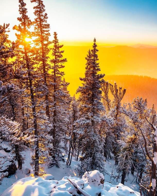 Golden sunrise and spring snow blankets Mt Evans Wilderness Clear Creek County Co OC x