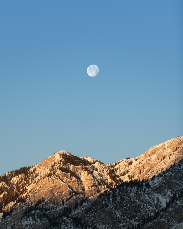 Good Morning Moon Banff AlbertaOC 