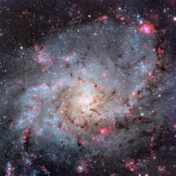 Gorgeous spiral galaxy M seems to have more than its fair share of glowing hydrogen gas A prominent member of the local group of galaxies M is also known as the Triangulum Galaxy and lies about  million light-years distant 