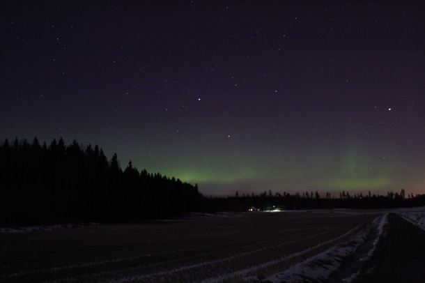 Got this pretty cool photo of auroras above northern sky 