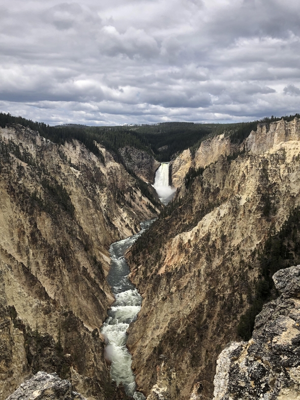 Grand Canyon of Yellowstone National Park 
