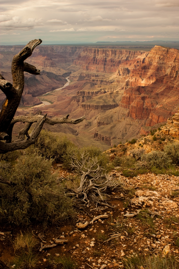 Grand Canyon overlook at Desert View AZ  OC