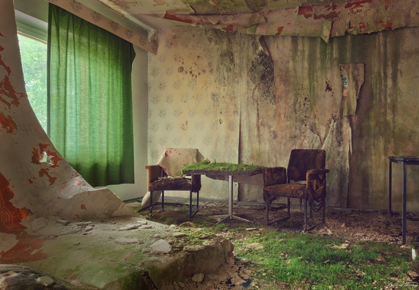 Grass growing in a damp living room  Photographed by Mario Mariburg