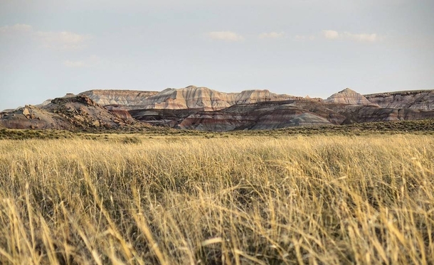 Grasslands and badlands in Petrified Forest National Park Arizona 