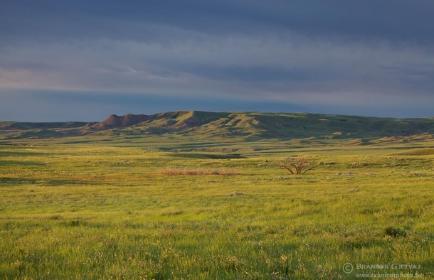 Grasslands Provincial Park Saskatchewan Canada - Branimir Gjetvaj 