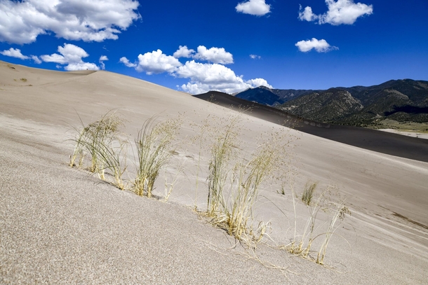 Great Sand Dunes NP CO 