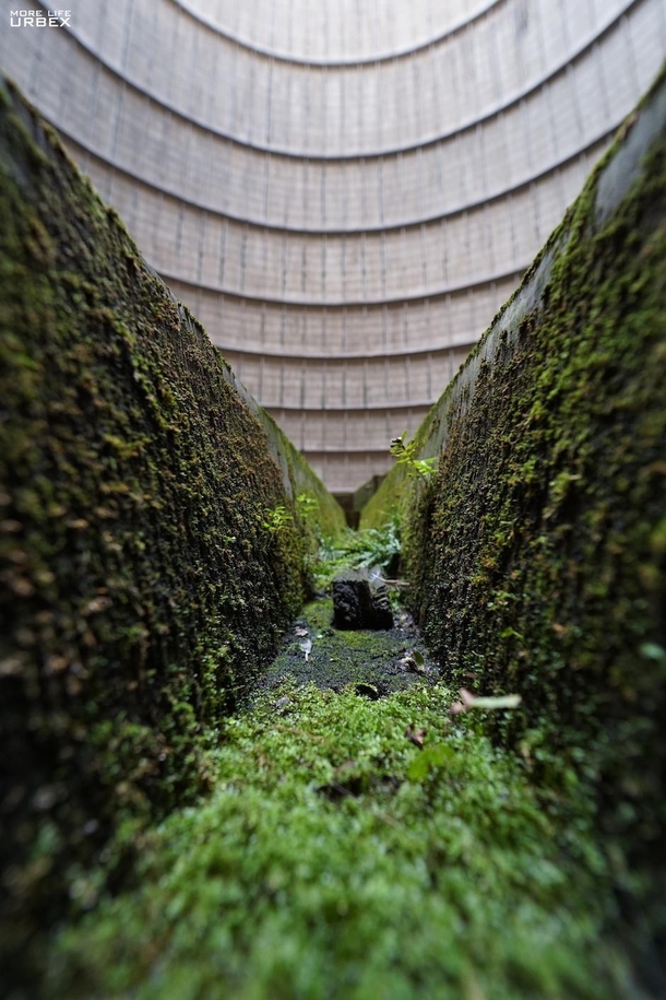 Green details inside a power plant