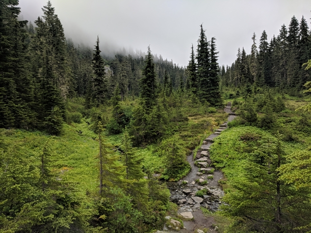 Green overload Anderson and Watson Lakes trail North Cascades Washington 