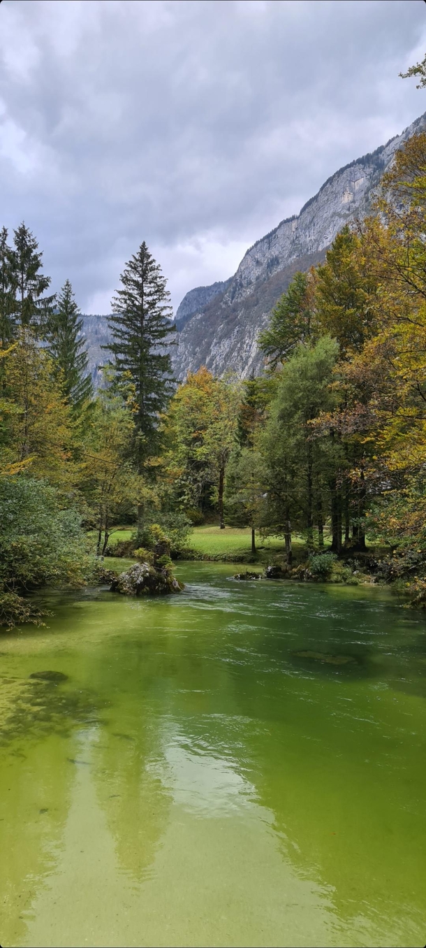 Green River Bohinjka in Bohinj Slovenia 