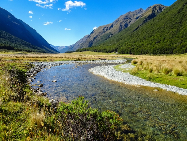 Greenstone River Valley Greenstone amp Caples Hiking Track Otago Southern Island New Zealand 