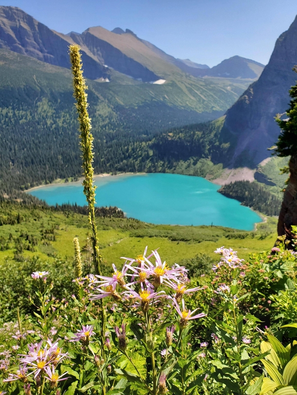 Grinnell Lake from Grinnell Galcier Trail 