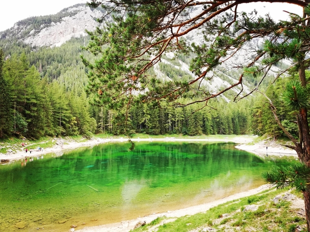 Grner See green lake AUSTRIA  x