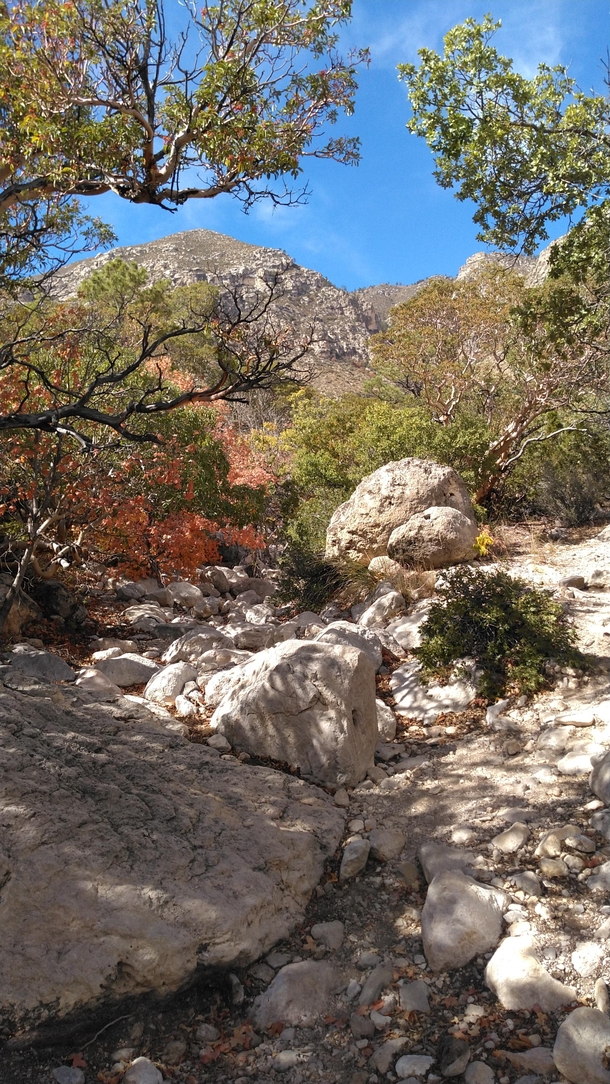Guadalupe Mountains National Park Texas October   