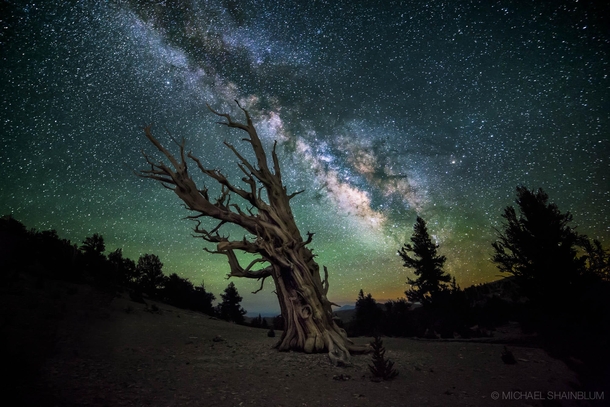 Guardian Of The Night The Milky Way above the White Mountains of California Photo by Michael Shainblum 