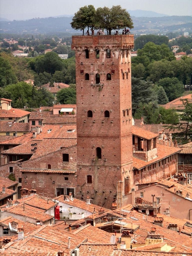 Guinigi Tower Lucca Italia