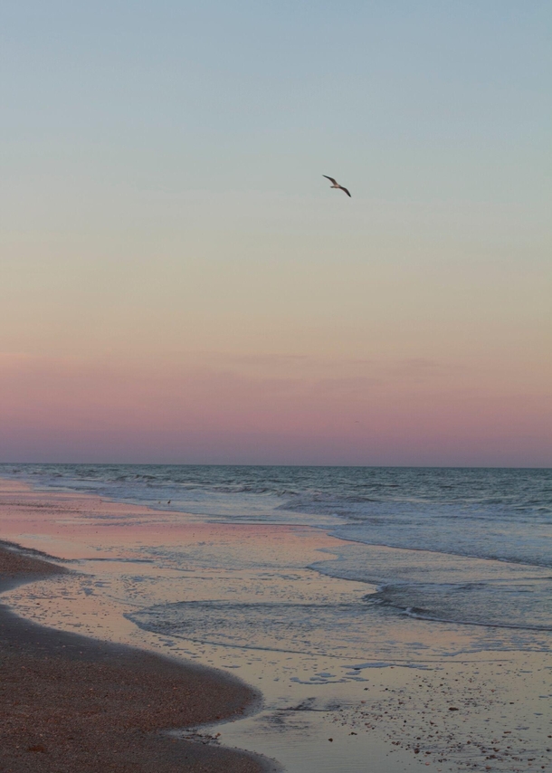 Gulf Coast Sunset 