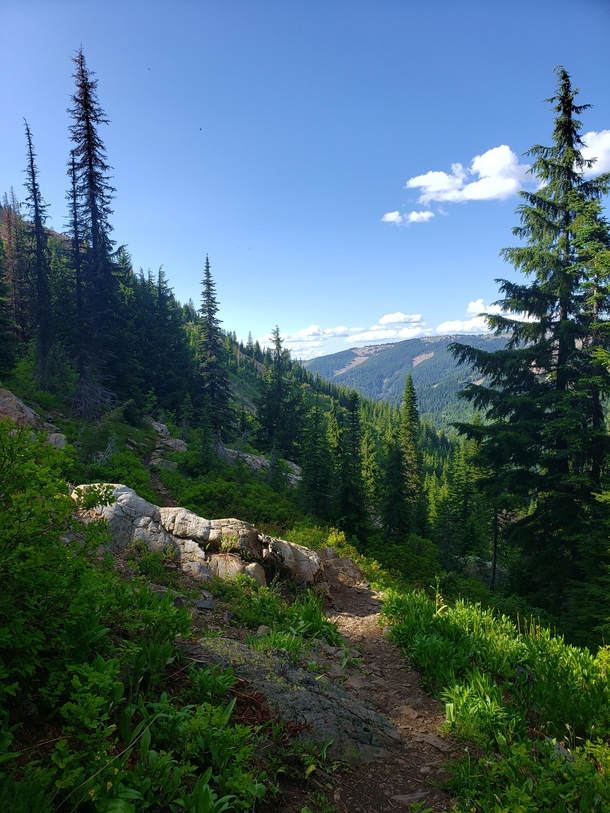 Had this amazing view while hiking into Crystal Lake in North Idaho 