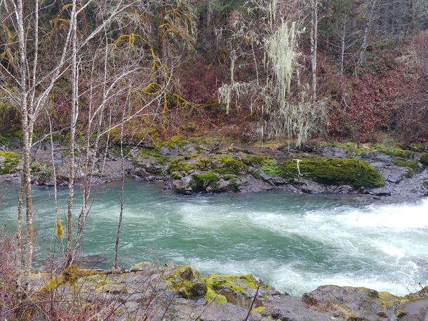 Had to share the incredible contrasting colors of the Santiam River in Sweet Home Oregon OC 