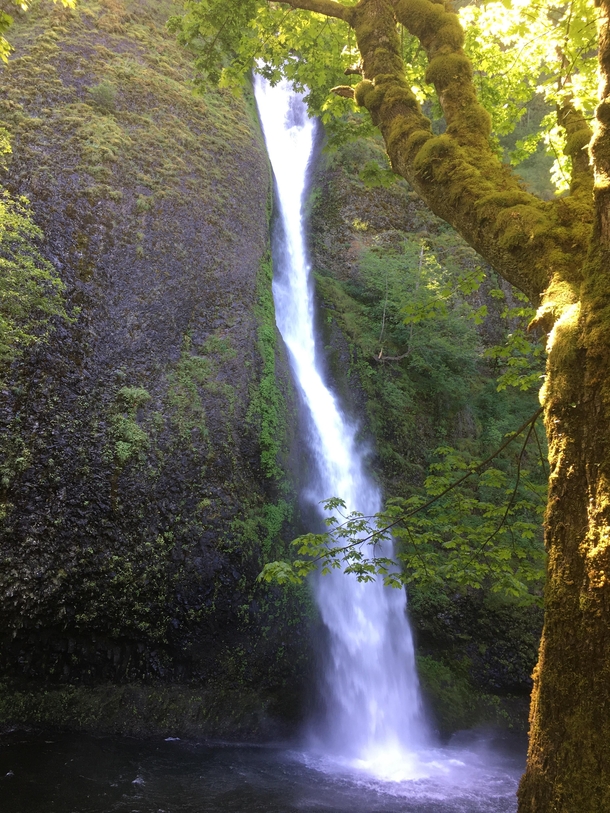 Happened upon this stunning waterfall along the Oregon Scenic Byway Horsetail Falls Columbia River Gorge Oregon 