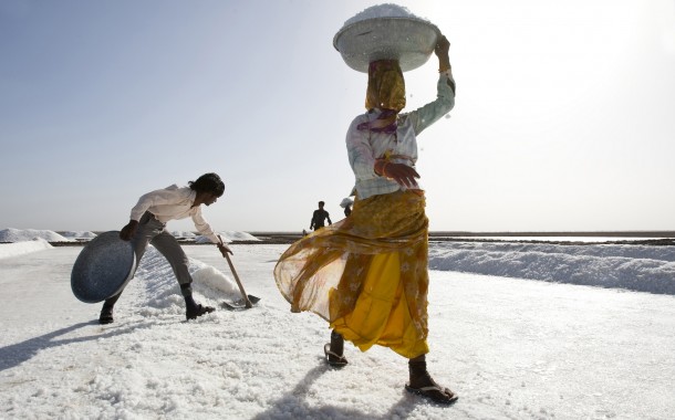 Harvesting salt in the Little Rann of Kutch in western Gujarat India 