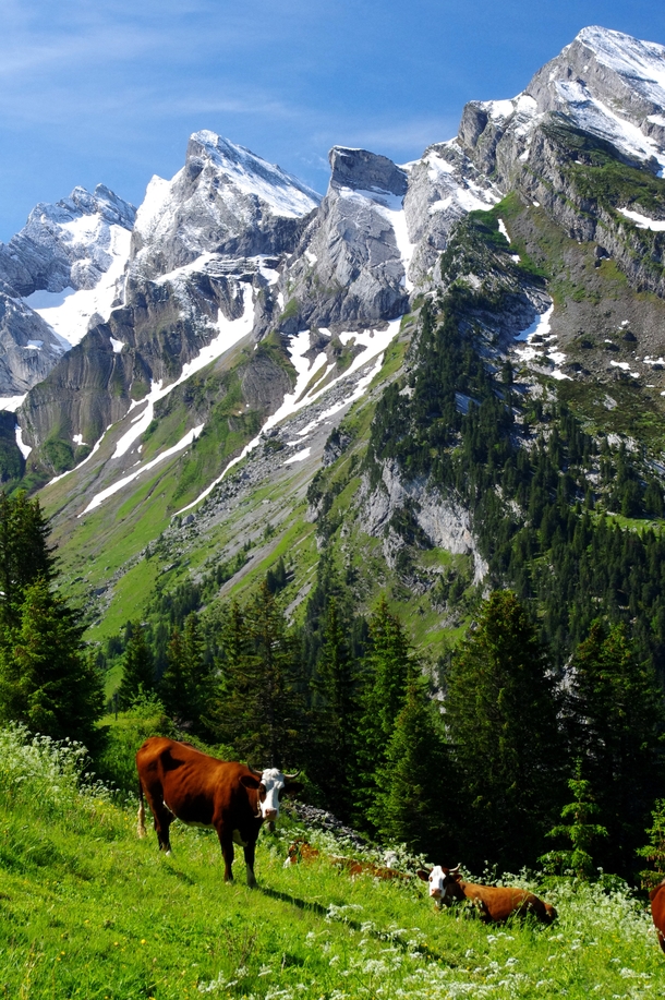 Haute-Savoie French Alps x 