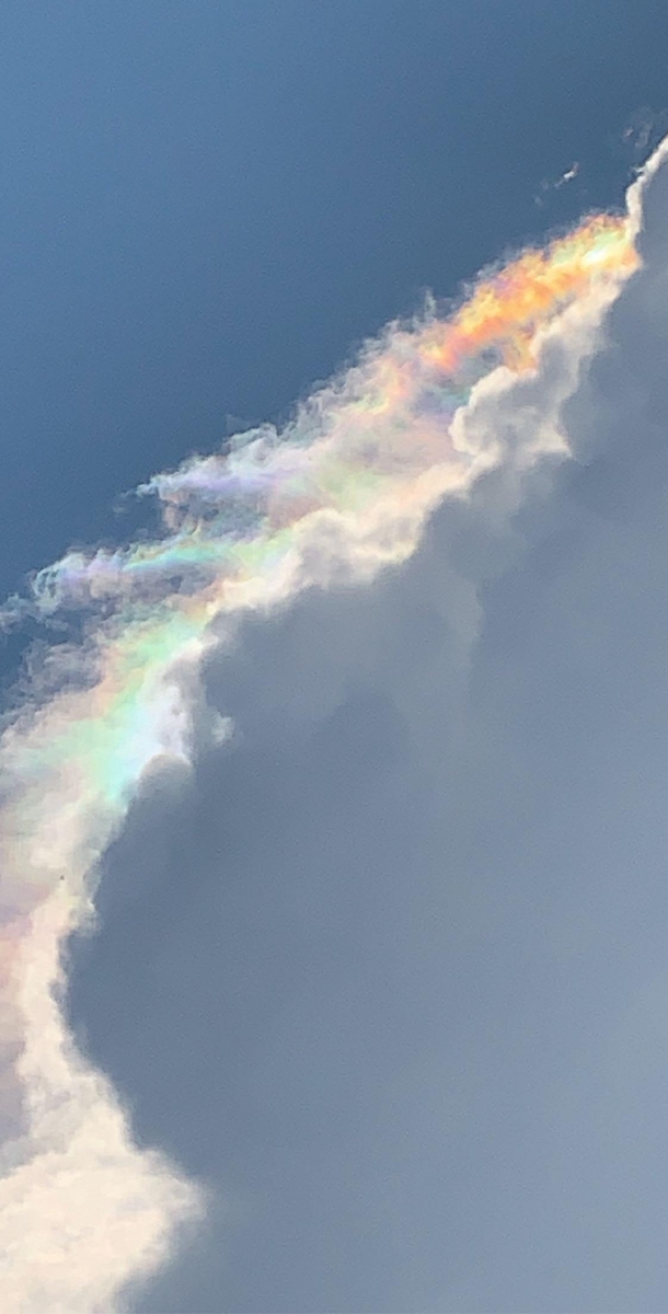 Have you guys ever seen multicolor clouds before This was taken in Atlanta today and I was shook No filter