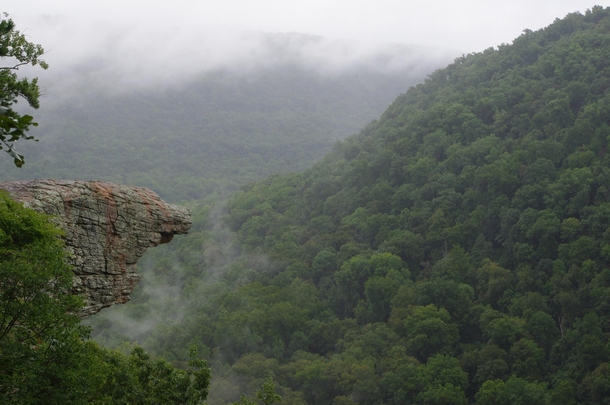 Hawksbill Crag in the Mist - Ozark National Forest - Arkansas 