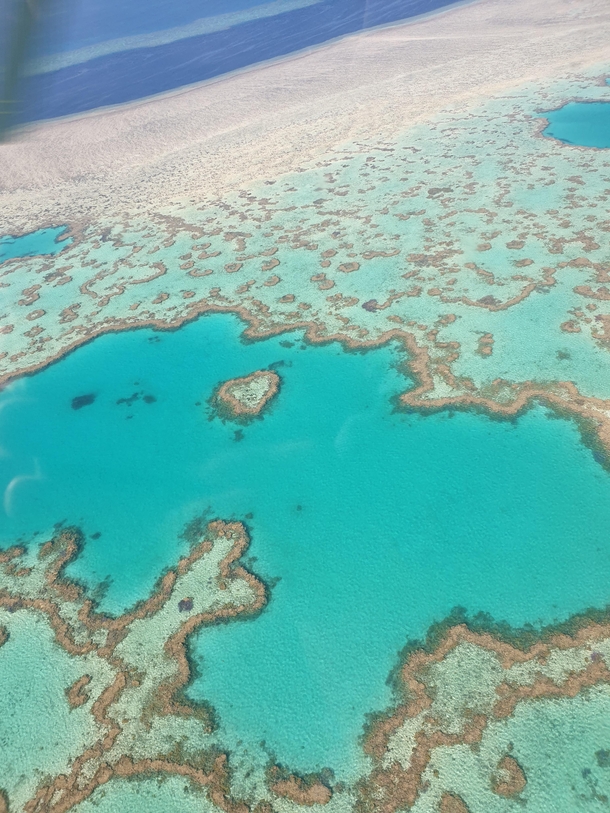 Heart Shaped Reef Whitsunday Island QLD Australia  From a helicopter landed on a pontoon and snorkled close by afterwards Unbelievable experience