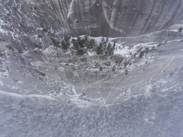 Heres a badass clump of trees hanging onto the Chief during a snowstorm This granite dome is kinda like the British Colombia version of El Capitain except a little smaller Squamish BC Canada 
