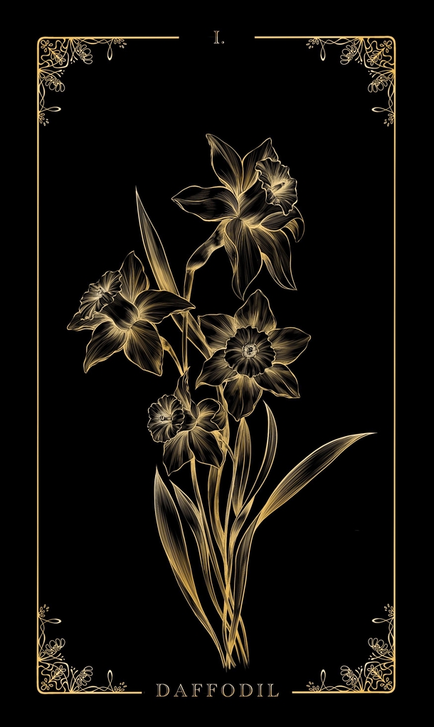 Hi Heres one of the botanical illustrations I made Its daffodils from my Feelings series Hope you like it