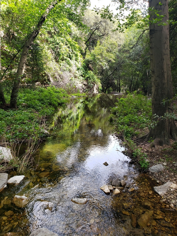 Hidden Gem in Angeles National Forest 