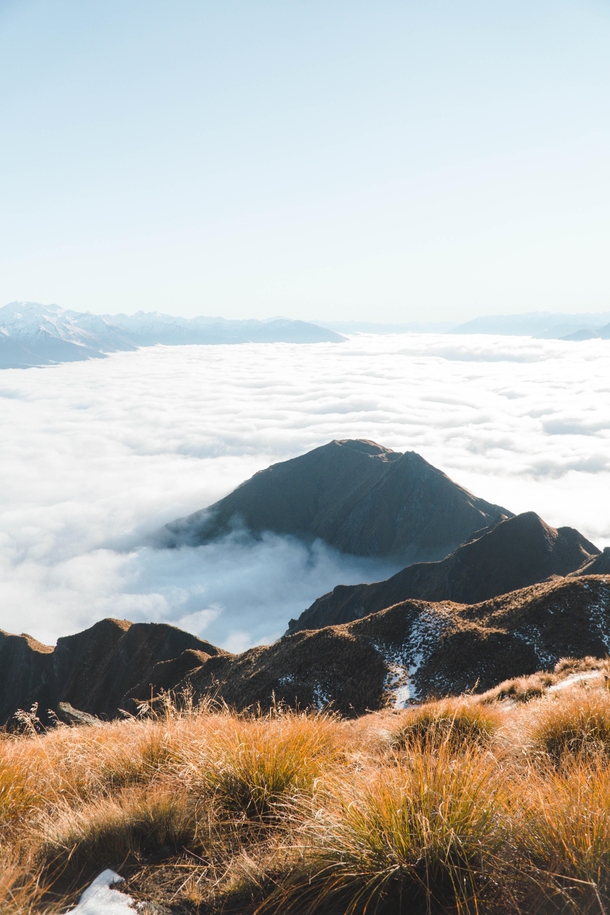 High above the clouds on Roys Peak New Zealand  Instagram markcmcgovern