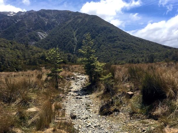 Higher altitudes - Arthurs Pass New Zealand 